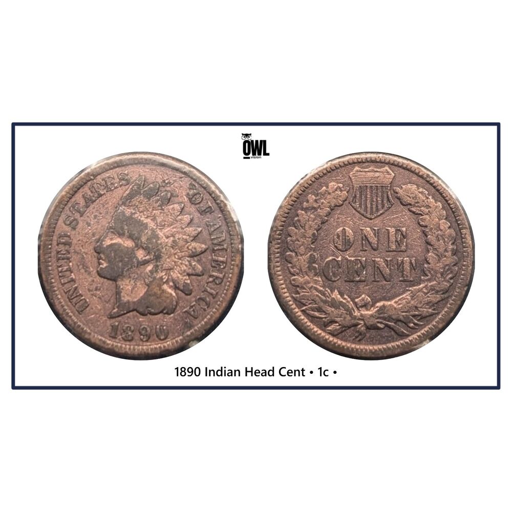 1890 Indian Head Cent • 1c • UMM Finds NorCal